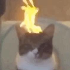DƬ